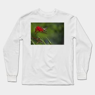 850_5881 Long Sleeve T-Shirt